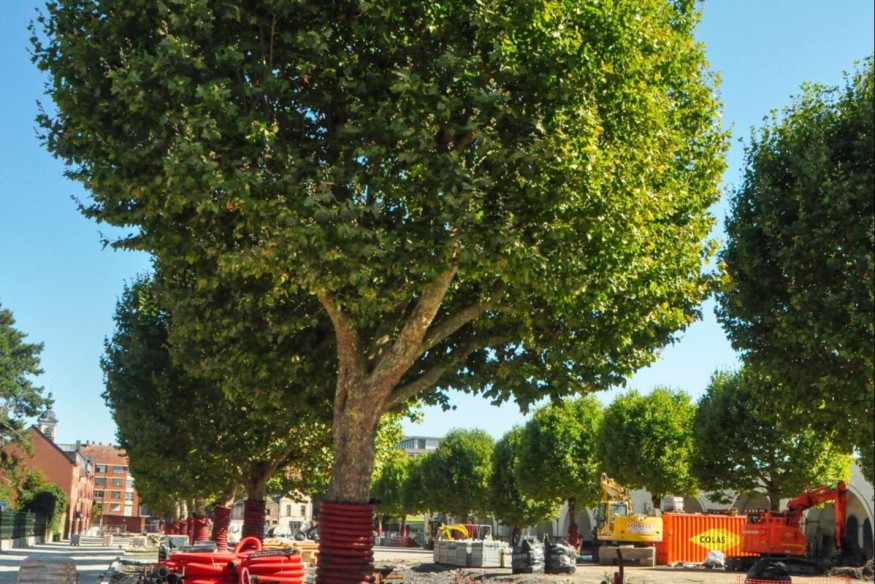 Réouverture imminente de la Place Nervienne : Une transformation remarquable pour le cœur de Mons.